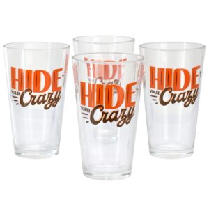 Wanda June Home by Miranda Lambert Hide Your Crazy 4 Piece 16 Ounce Glass Tumbler Set